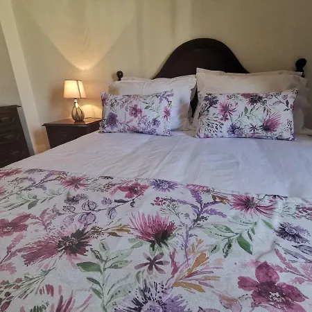 Apartment In The Of Funchal Up 2 At 6 Pers *